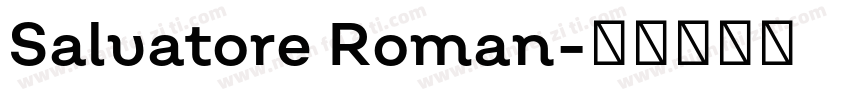 Salvatore Roman字体转换